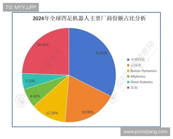 深入探讨ag亚游国际市场的主要竞争格局与市场份额变化